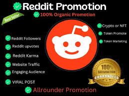 Boosting Your Reddit Marketing with High Karma Accounts